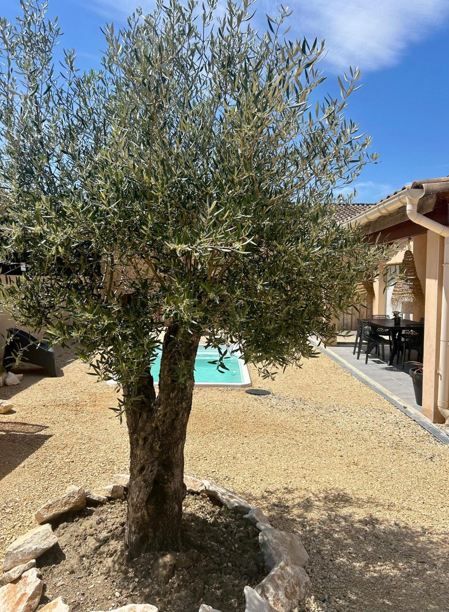 Maison Piscine & Spa Vallon Pont D'Arc מראה חיצוני תמונה